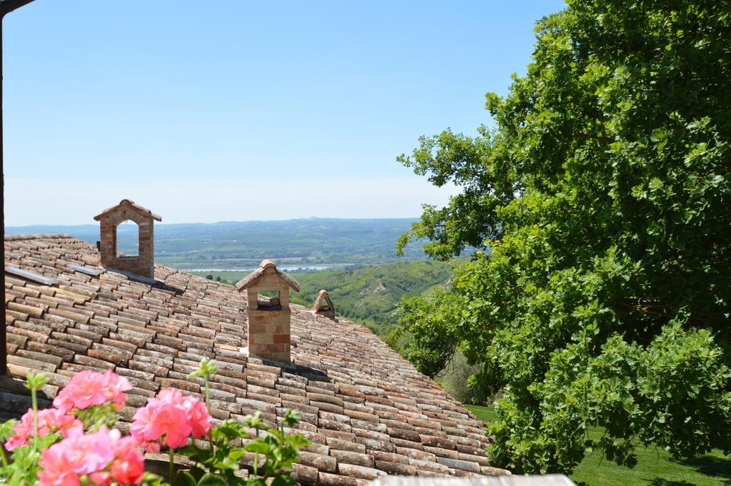 Luxury villa Colle dell'Asinello ,proprietari , Price all inclusive Pool Heating 30 C&area SPA h 24, near ORVIETO Guardea Esterno foto