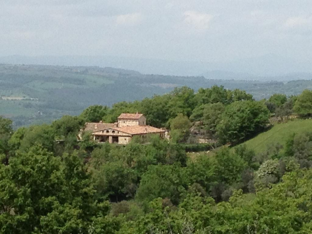 Luxury villa Colle dell'Asinello ,proprietari , Price all inclusive Pool Heating 30 C&area SPA h 24, near ORVIETO Guardea Camera foto