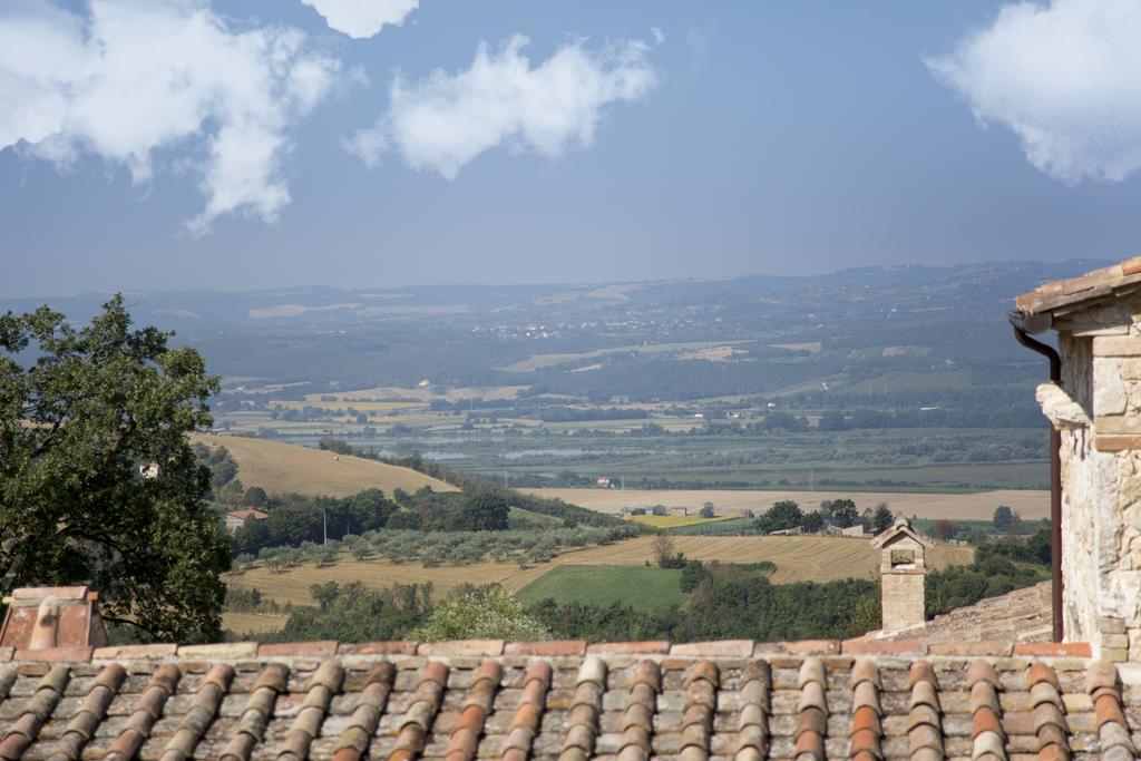 Luxury villa Colle dell'Asinello ,proprietari , Price all inclusive Pool Heating 30 C&area SPA h 24, near ORVIETO Guardea Esterno foto