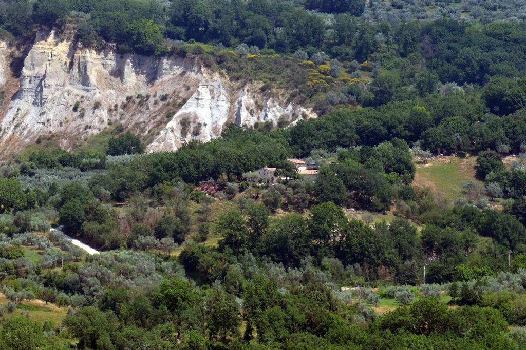 Luxury villa Colle dell'Asinello ,proprietari , Price all inclusive Pool Heating 30 C&area SPA h 24, near ORVIETO Guardea Esterno foto